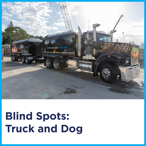 Blind Spots: Truck And Dog