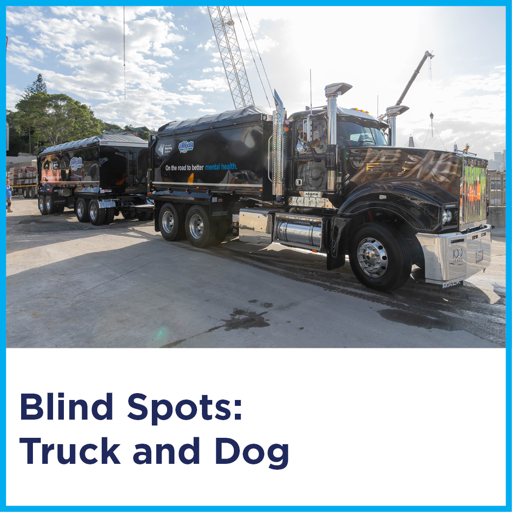 Blind Spots: Truck And Dog